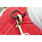 Dog Leash Set Manufacturer - Front Clip Security Led Collar Premium Nylon