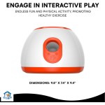 Dog Ball Launcher Manufacturer - High Quality High Capacity Automatic