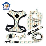 Retractable Leash Manufacturer - Customized Color Pattern Leather Free