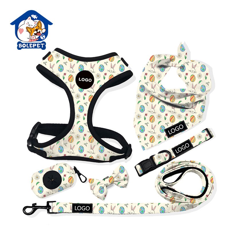 Retractable Leash Manufacturer - Customized Color Pattern Leather Free