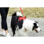 Dog Leash Set Manufacturer - Front Clip Security Led Collar Premium Nylon