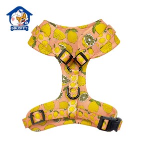 Leather Dog Collar Manufacturer - Breathable Fully Adjustable Customized