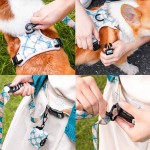 Dog Collar Set Factory - Fully Adjustable Metal Buckle Print Pattern