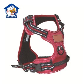 Dog Collar Set Factory - Customized Color Luxury Lead Leash Hardware