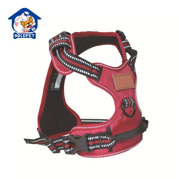 Dog Collar Set Factory - Customized Color Luxury Lead Leash Hardware