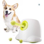 Dog Training Launcher Supplier - Promotion Sale Popular Best Ball Launcher