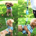 Retractable Leash Manufacturer - Customized Color Pattern Leather Free