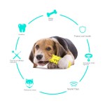 Dog Toothbrush Manufacturer - Eco-Friendly Voice-Producing Grinding Stick