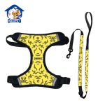 Pet Harness Set Manufacturer - ISO Factory Luxury Custom Logo Collar