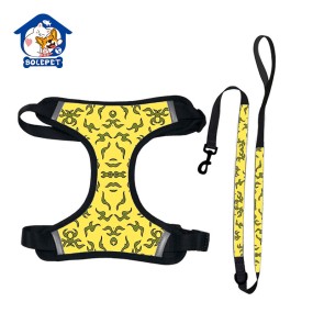 Pet Harness Set Manufacturer - ISO Factory Luxury Custom Logo Collar