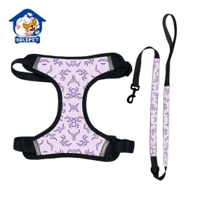 Retractable Dog Leash Supplier - New Arrival Soft Adjustable Hands Free