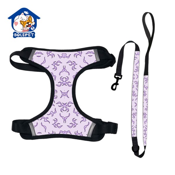 Retractable Dog Leash Supplier - New Arrival Soft Adjustable Hands Free