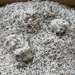 Tofu Cat Litter Manufacturer - Strong Agglomeration Deodorant Bulk