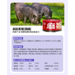 Wet Cat Food Manufacturer - OEM Customizable Chicken Breast Shredded