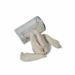 Pet Snacks Manufacturer - Global Hot Selling Super Factory