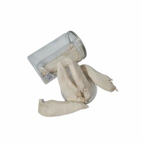 Pet Snacks Manufacturer - Global Hot Selling Super Factory