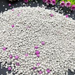 Cat Litter Manufacturer - Natural Eco-friendly Customizable Mining