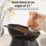 Portable Pet Bowl Factory - Outdoor PP Raised Bowls Drinking Water Accessories