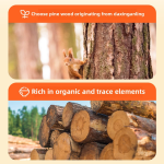 Natural Dog Chew Stick Factory - Pine Wood Durable Anti-biting Teeth Training