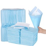 Pet Training Pad Manufacturer - Super Absorbent Biodegradable 5-Layer Disposable