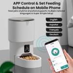Smart Pet Feeder Manufacturer - Graffiti Wifi Automatic Timed Rechargeable