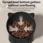 Portable Pet Bowl Factory - Outdoor PP Raised Bowls Drinking Water Accessories