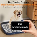 Flat Dog Toilet Supplier - Urinal Guide Detachable Mesh Board Easy Clean