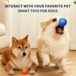 Interactive Dog Toy Supplier - New Upgraded USB Smart Gravity