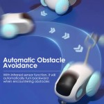 互动宠物玩具厂家-USB充电遥控车