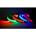 LED Dog Collar Manufacturer - Wholesale Luxury Nylon Quick Release