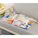 Anti-Slip Pet Mat Supplier - 2024 Hot Selling Waterproof Summer