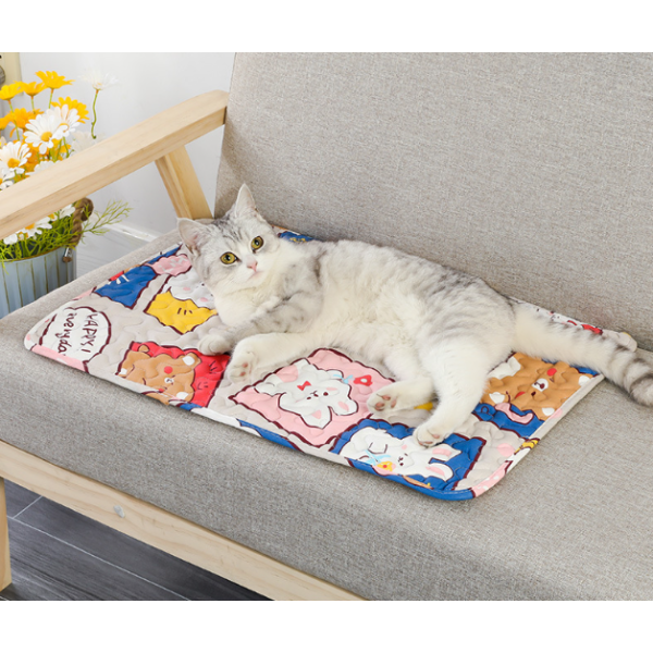 Anti-Slip Pet Mat Supplier - 2024 Hot Selling Waterproof Summer