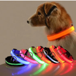 LED Dog Collar Manufacturer - Wholesale Luxury Nylon Quick Release