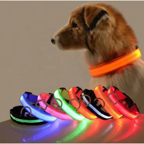 LED Dog Collar Manufacturer - Wholesale Luxury Nylon Quick Release
