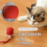 自动猫玩具厂家-2025新款360°智能滚球