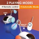 互动宠物玩具厂家-USB充电遥控车