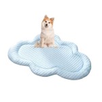 Pet Cooling Mat Manufacturer - Blue Cloud Fresh 3D Breathable