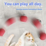 自动猫玩具厂家-2025新款360°智能滚球