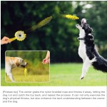 狗咬胶玩具工厂-2025热销豪华硅胶