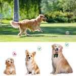 自动球发射器工厂-新款豪华遥控2.5英寸