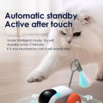 互动宠物玩具厂家-USB充电遥控车