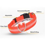 LED Dog Collar Manufacturer - Wholesale Luxury Nylon Quick Release