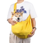 Dog Backpack Supplier - Hot-Selling Large Capacity Foldable