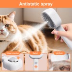 猫梳理刷工厂-新款3合1蒸汽喷雾