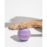 Dog Chew Toys Factory - Free Custom Logo Eco-Friendly Rubber Tennis Balls