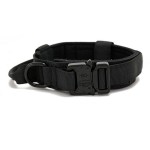 Dog Training Collar Supplier - Customize Logo Color Metal Buckle Tactical