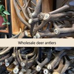 Dog Teething Stick Factory - Natural Antlers Chewable Bones Toy for Dogs