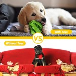 Dog Chew Toy Set Manufacturer - Qbellpet Custom 18 Pack Teeth Cleaning Set