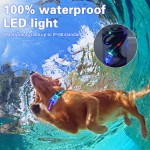 Scrolling Display Dog Collar Factory - USB Rechargeable LED Flash Multi Dog