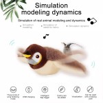 Bird Cat Toy Supplier - Lifelike Chirp Tweet Shape with Detachable Catnip